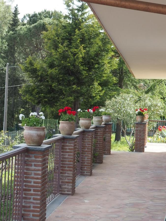 Bed and Breakfast Etna Casa Del Sole Nicolosi Exteriér fotografie